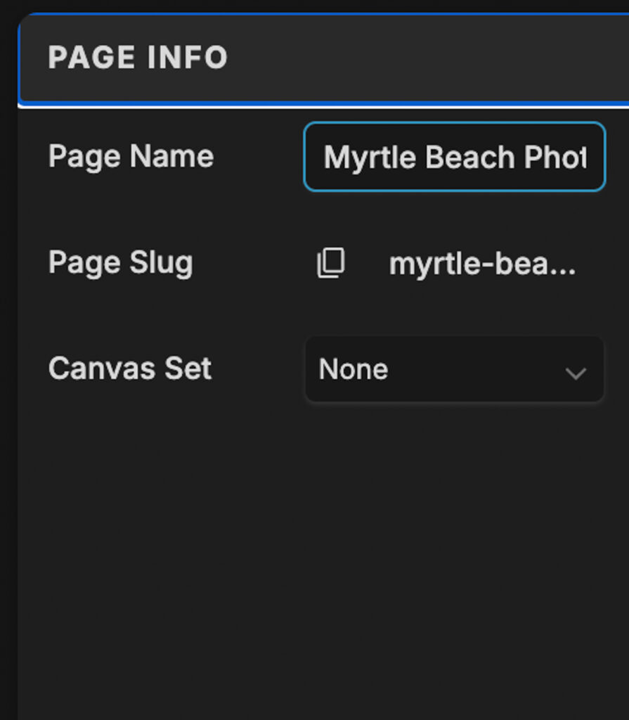 Showit page name field demonstrating that changing the page name will also change the URL