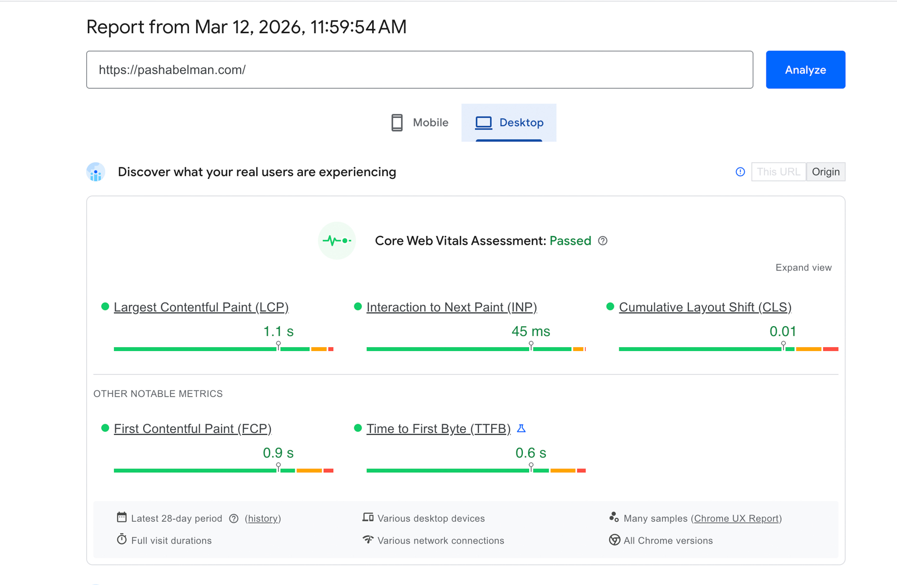 Google PageSpeed Insights showing scores of 96 Performance, 95 Accessibility, 100 Best Practices, 100 SEO for a Showit photography website