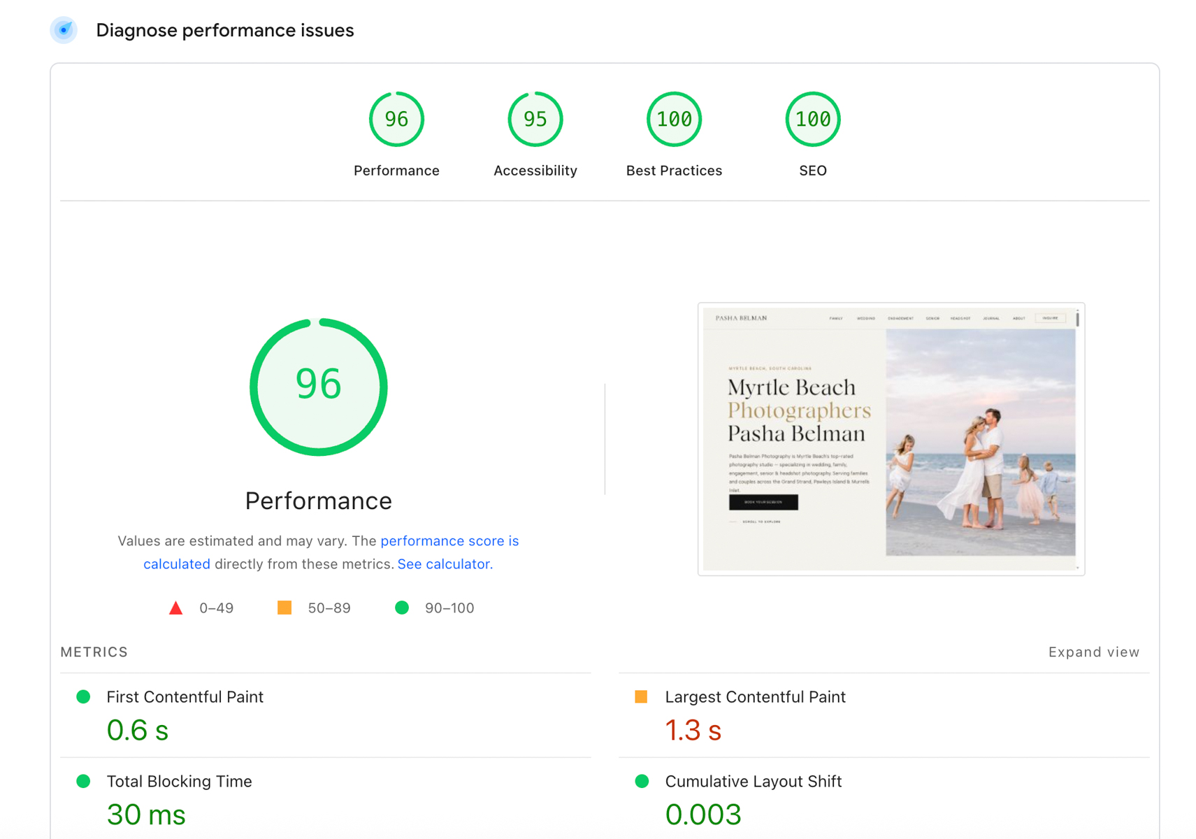 Google Core Web Vitals report showing all metrics passing for a Showit photography website